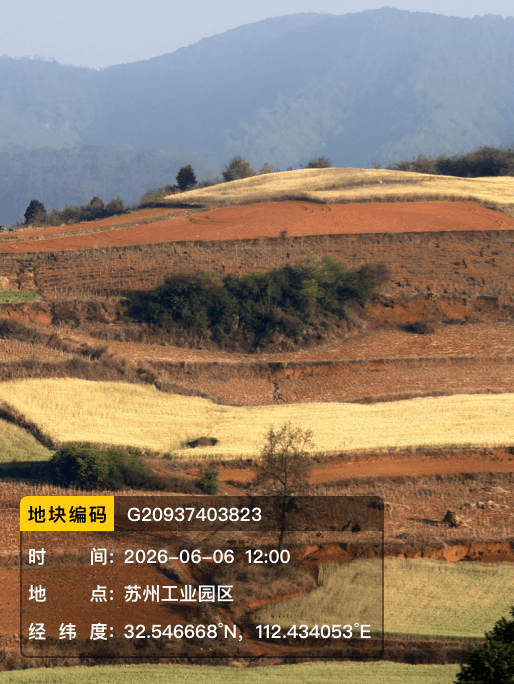 资产清查模板
